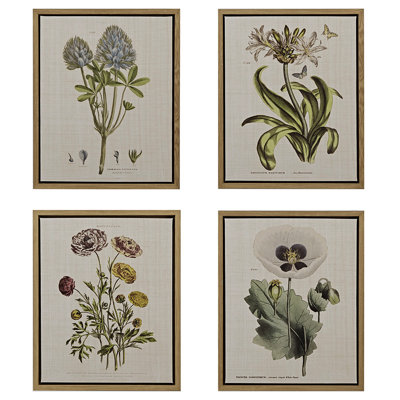 Lin botanique, art décoratif - 4 pièces pour les murs de la maison, encadré botanique, 4 chambres