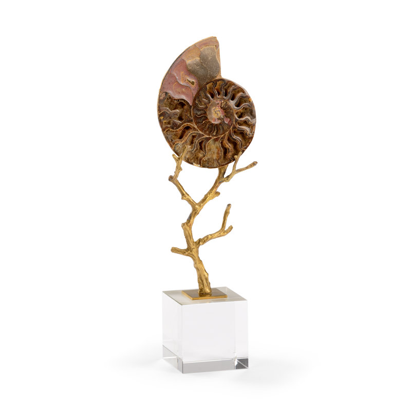 Ammonoidea Figurine, 14.25'' H x 5'' W x 3'' D