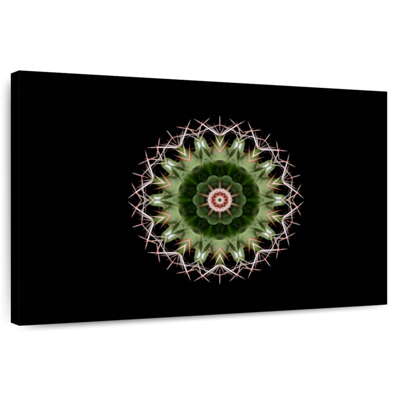 Harnek Mandala Cactus, H 26 po x l 39 po