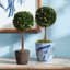 Thisbe Faux Boxwood Topiary in Planter-1710409801