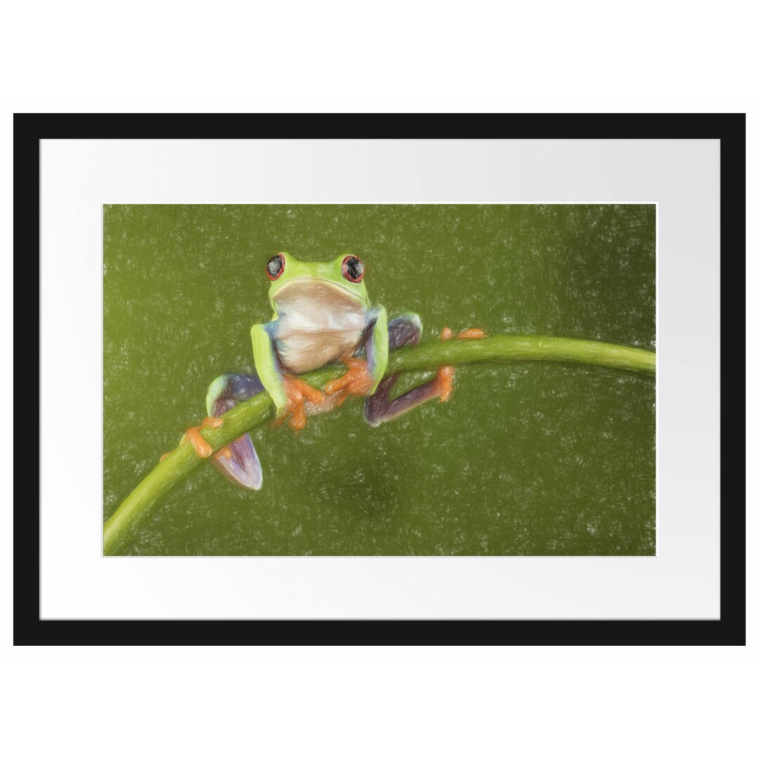 Gerahmtes Poster Baum-Frosch auf Bambus