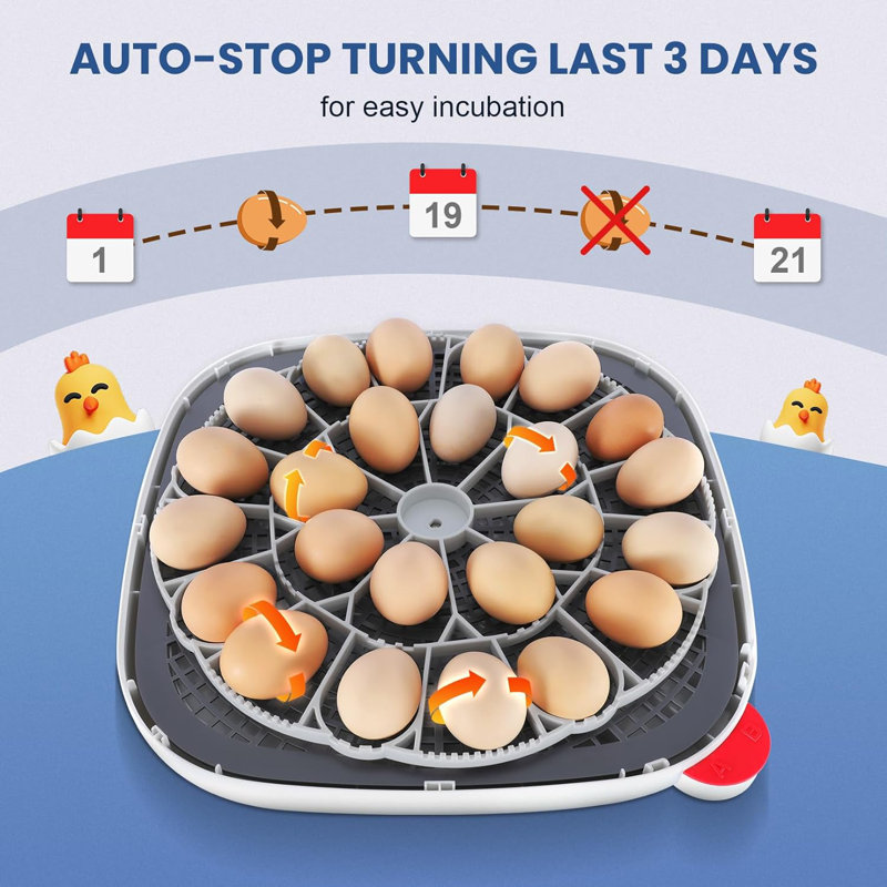 24 Chicken Egg Incubators with 4 Modes, 360° View Incubator with Automatic Egg Turning and Temperature Control Humidity Display, Digital Incubator for Chicken Quail Duck