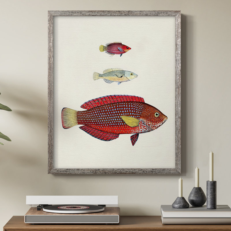 «Colorful Tropical Fish II», reproduction encadrée - bois massif
