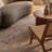 Evodia Medallion Area Rug-1674061260