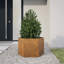 Alivya Metal Elevated Planter-1615744393-1615744389