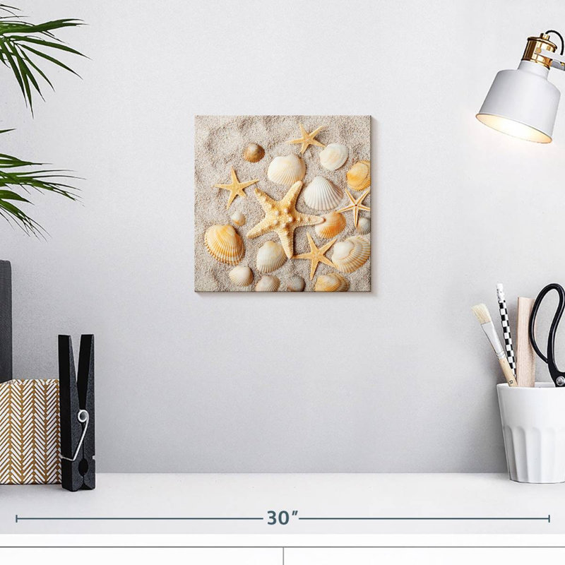Coquillages décoratifs Aletra, H 10 po x l 10 po
