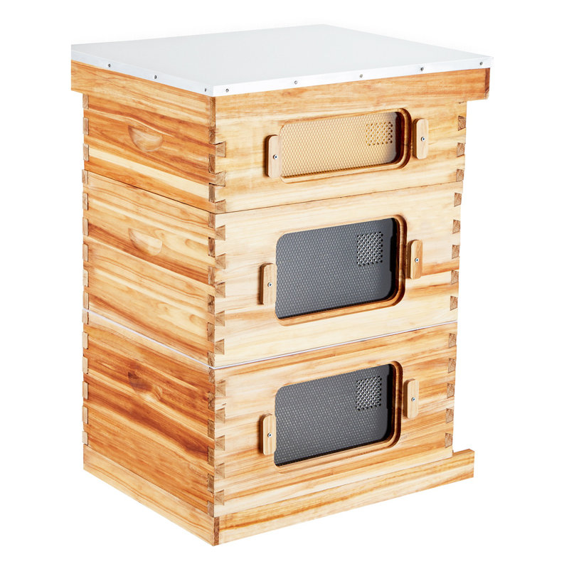 Trousse de démarrage pour ruche Langstroth - 30 cadres en bois avec fenêtre en acrylique et cadres enduits de cire d'abeille