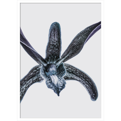 Parkerfield "Orchid" Print by Shot by Clint