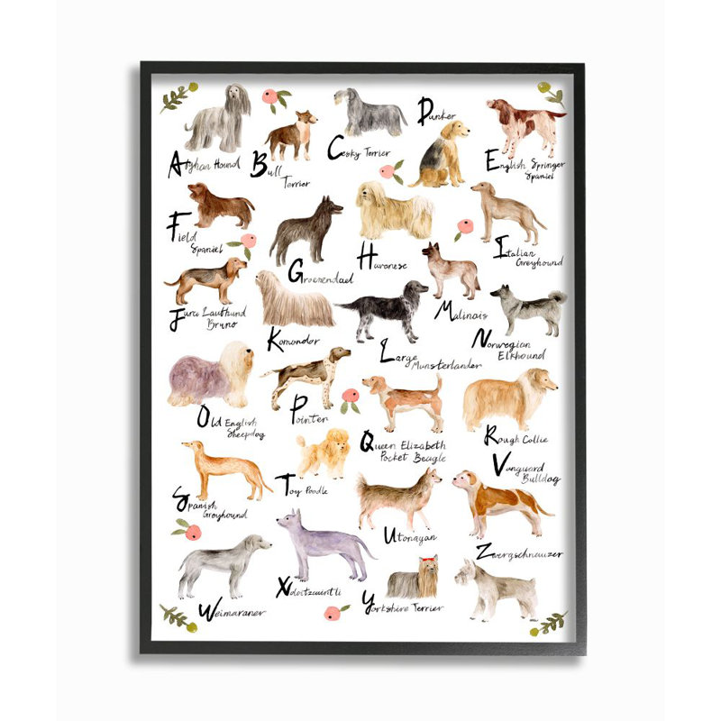 "Chic alphabet des chiens avec détails floraux" par Melissa want-impression d’art graphique, H 20 po x l 16 po x 1,5 po