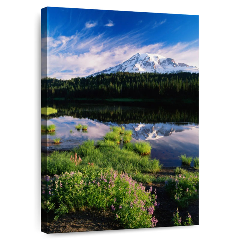 Alvord Mt. Rainier Spring Meadows, H 36 po x l 24 po