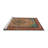 Celyna Oriental Indoor Rug-1515658140