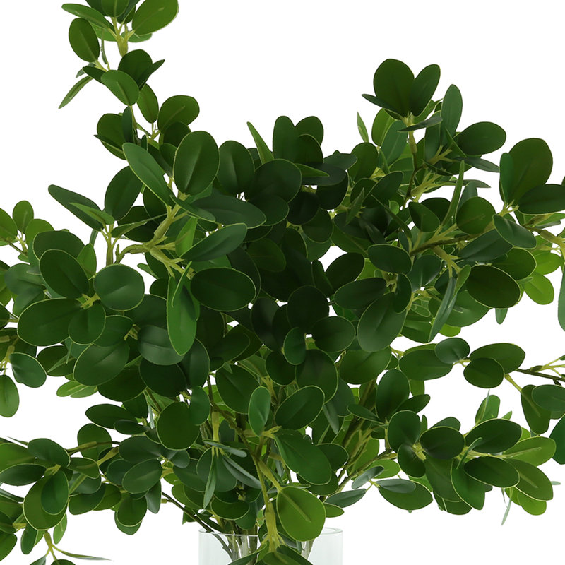 Nature's Elegance Faux Boxwood Plant in Glass Vase