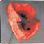« rossa », impression-22063534-22064160