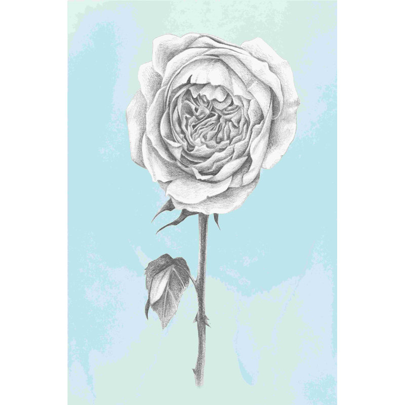 Graphite rose I, H 18 po x l 12 po