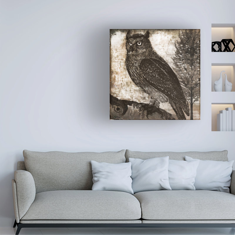Bolog Sasha Owl 2 Canvas Art, 18" H x 18" W