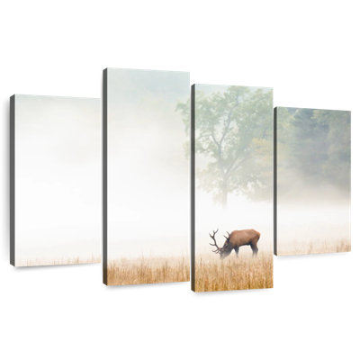 Foggy Elk