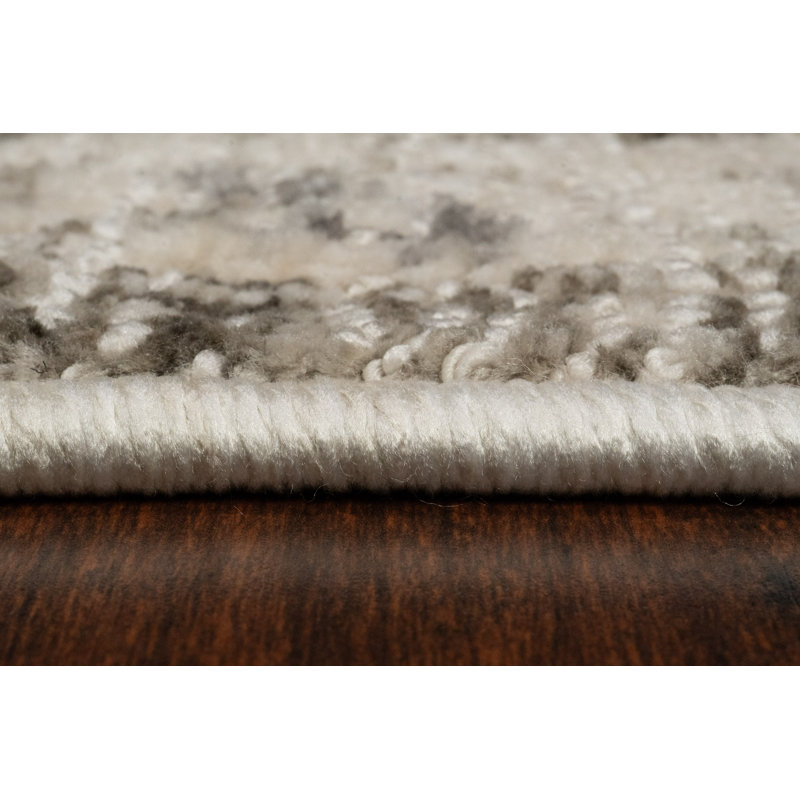 Rollinsville Oriental Rug, Rectangle 2'7" x 4'11"