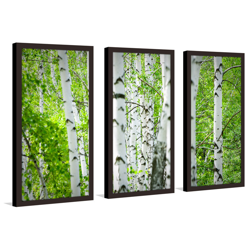 Birch Trees I - Ensemble de 3 reproductions de photos sur acrylique, H 25,5 po x l 40,5 po x P 1 po