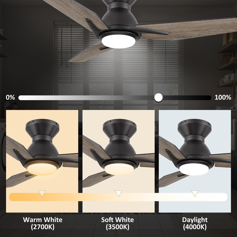 Ventilateur de plafond intelligent 48 po à 3 pales avec lumière Amontae, Noir, En bois