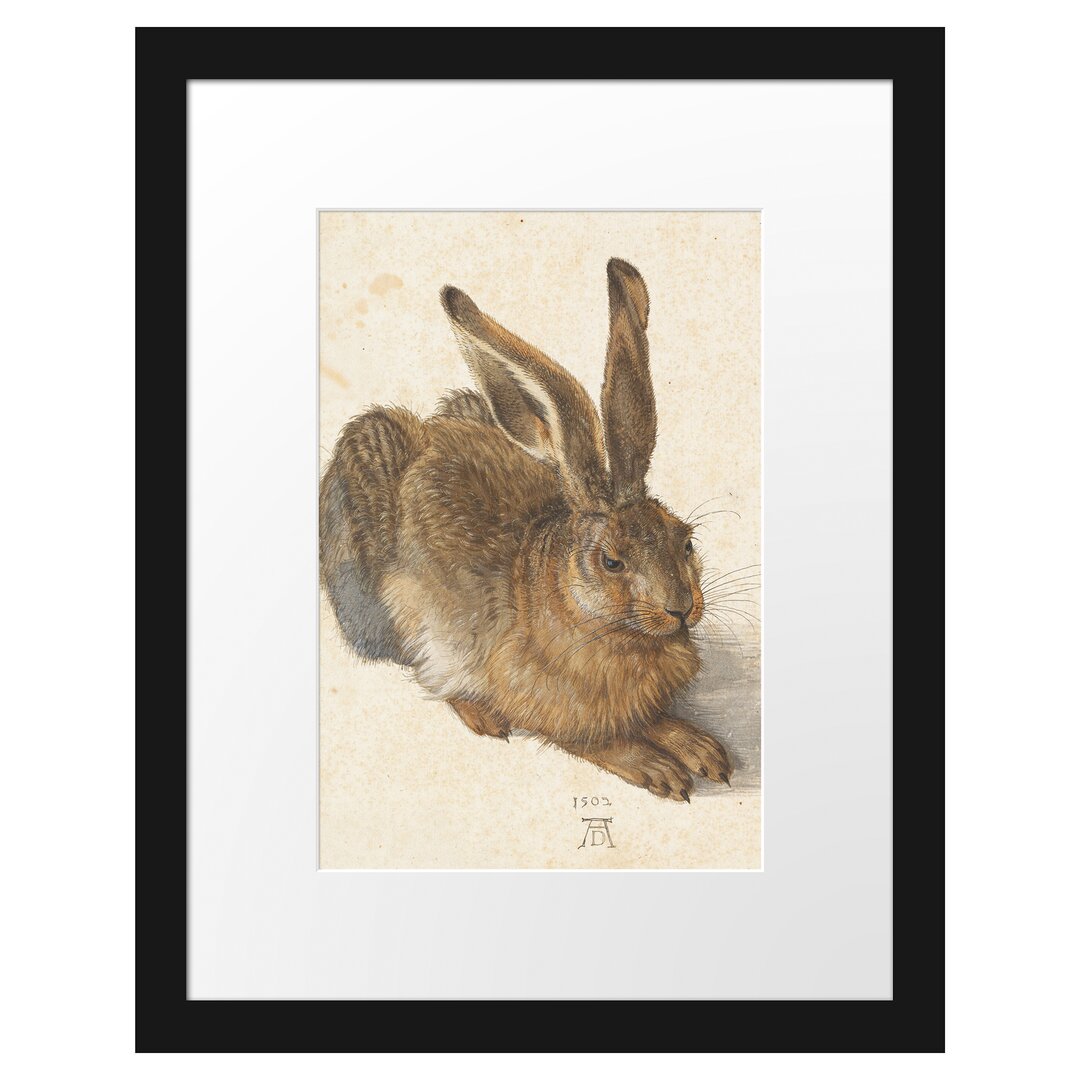 Gerahmter Grafikdruck European Hare von Albrecht Dürer