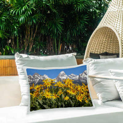 Coussin d'extérieur Mountain View Flowers par Daniel Sproul