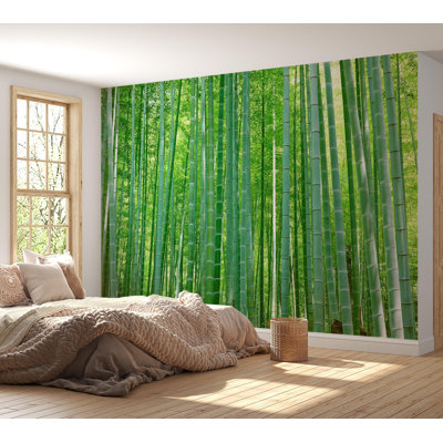 Papier peint de qualité supérieure - Forêt de bambous