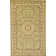 Aracelia Floral Indoor Rug