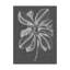 « graphique feuillage ii », impression sur toile tendue-183264289