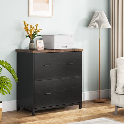 Helane 2 Drawer Lateral Filing Cabinet by Inbox Zero