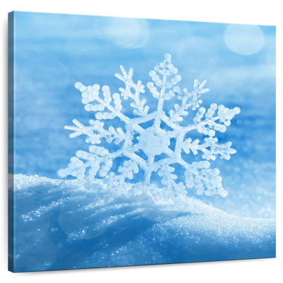 Flocon de neige d'hiver Alvord