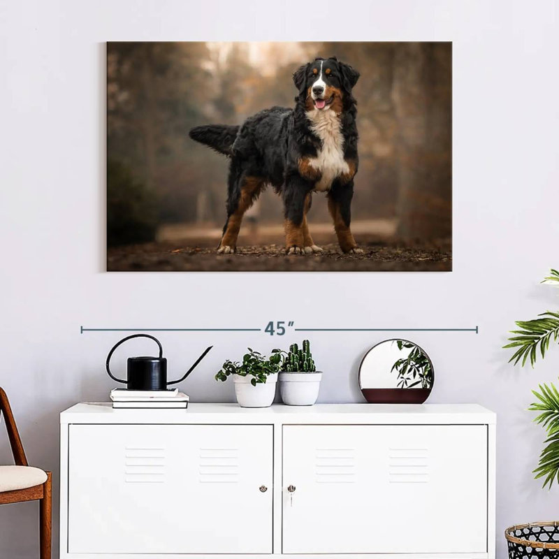 Brampt Bernese Mountain Dog, 26" H x 39" W
