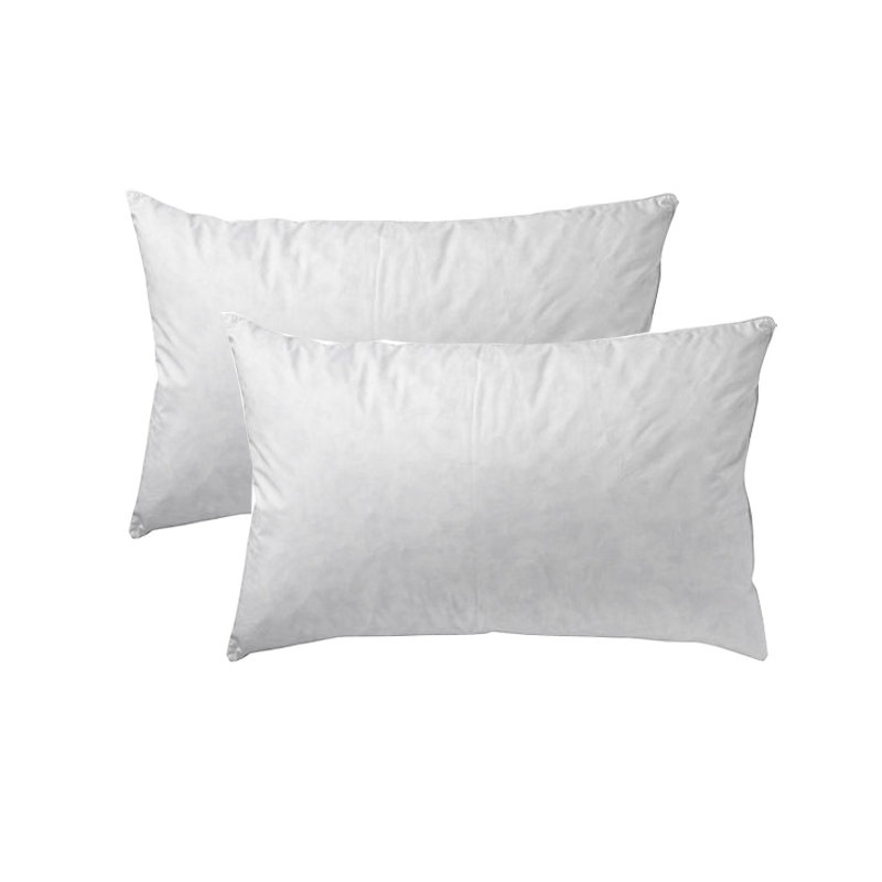 Luxury Goose Feather And Down Pillow Pair