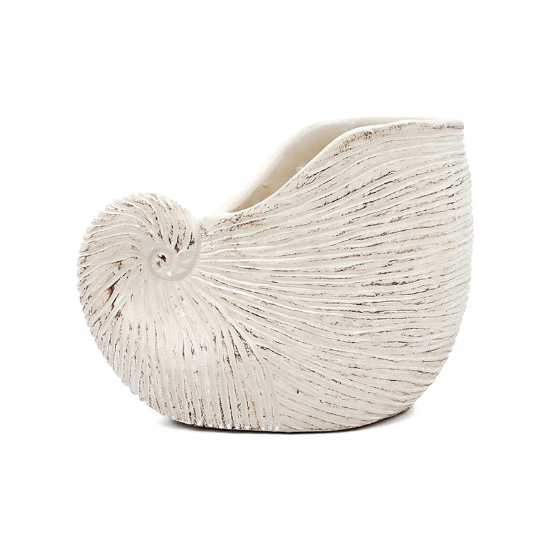 8.5X5.5X6.3 Inches Sand Cement Shell Planter, Textured Beige Finish, Enhances Aesthetic Of Your Rooms And Brings A Rustic Atmosphere To Barns