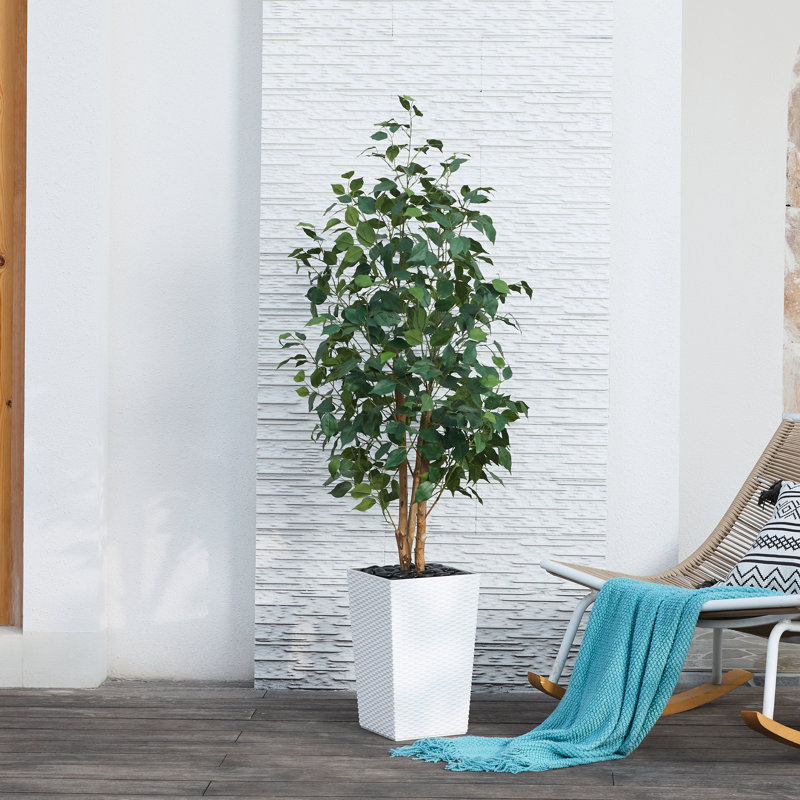 Adcock UV Protected Artificial Ficus Tree with Decorative Base, Faux Ficus Plant with Natural Trunk, White