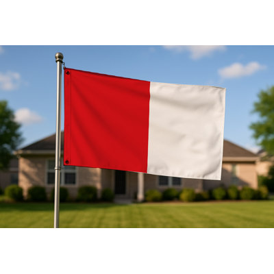 Lubumbashi City Flag — Flag