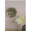 Plaque murale succulente D10x1,4 "