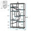 Alberico 174cm H x 95cm W Iron Bookcase-2037852552