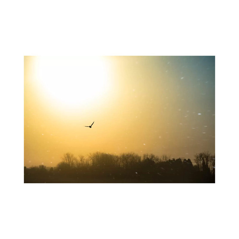 Bird Flying Through Blizzard by Nik Rave - Wrapped Canvas Print, 20.32 cm H x 30.48 cm W