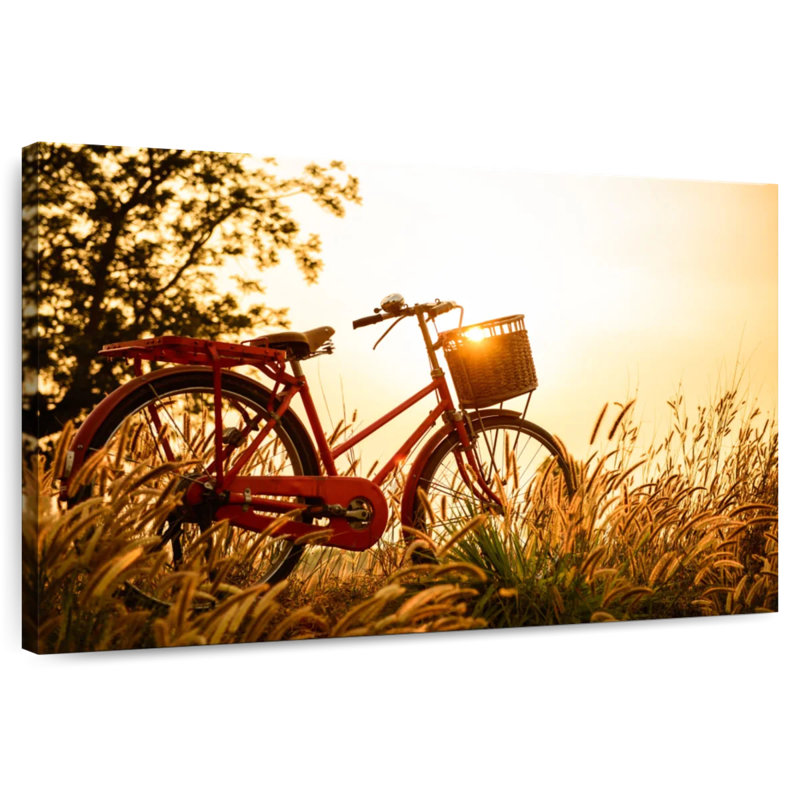 Vélo Mehar Country Sunset, H 8 po x l 12 po