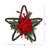 Holiday Christmas Poinsettia Star Twig Wreath