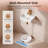 DeerValley Compact 14.57" x 10.04" Rectangular Ceramic Single Hole Wall-mount sink Sink for Small Space