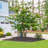 Landscape Edging-97276607-97276603