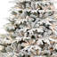 Sapin de Noël 5 pi
