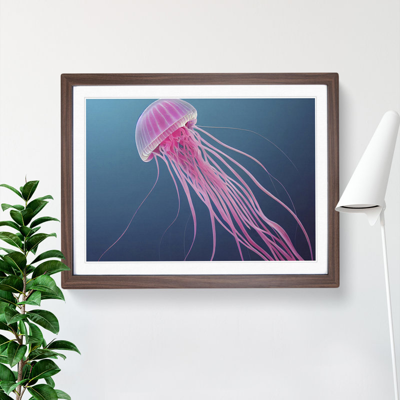 Jellyfish - Single Picture Frame Print, 46cm H x 64cm W x 2cm D, Walnut