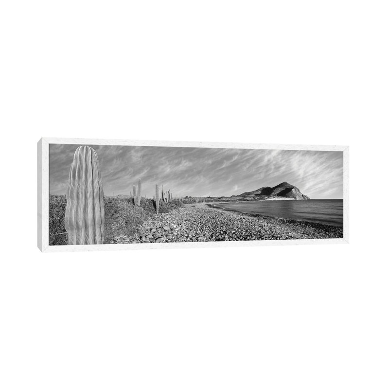 Cardon Cactus Lines The Rim Of A Small Inlet, Sea Of Cortez, Mulege, Baja California Sur, Mexico 1 Piece Panoramic Wall Art on Canvas