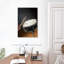 Tambour de caisse claire Abarca-108481804
