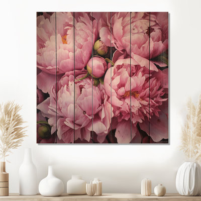 Shirla " Pink Green Peony Captivating II "
