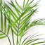 Anivea 50cm Faux Palm Tree in Pot