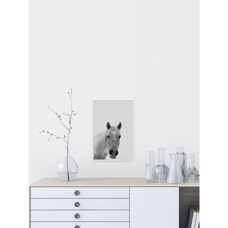 Big Nosed Horse 1 Piece Floater Frame Wall Art on Canvas, 46 cm H x 30 cm W x 4 cm D