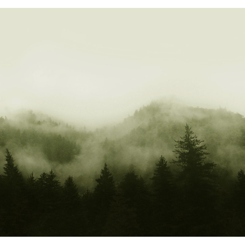 Superfresco Easy Misty Landscape Print To Order Fixed Size 2.8m x 3m Mural, Teal 